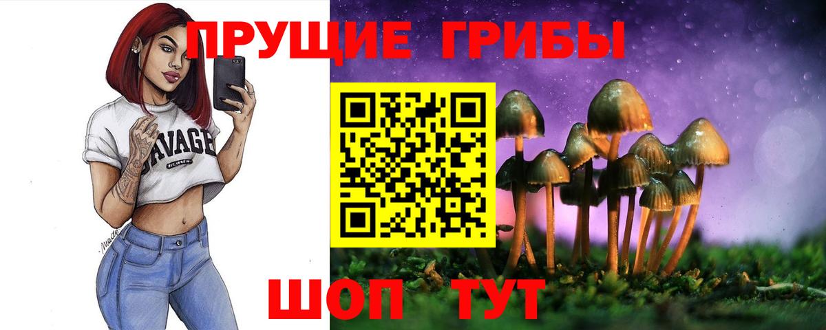 Галлюциногенные грибы Cubensis  Галлюциногенные грибы Magic Shrooms  Кемерово  Вход с VPN 